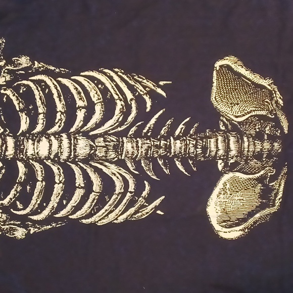 DOLLSKILL TRICKZ N TREATZ XXL BLACK LONG-SLEEVED RIB BY RIB GLOW T SHIRT - Picture 11 of 11